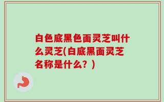 白色底黑色面灵芝叫什么灵芝(白底黑面灵芝名称是什么？)