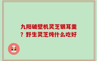 九阳破壁机灵芝银耳羹？野生灵芝炖什么吃好