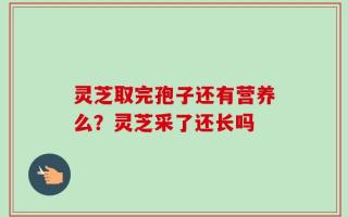 灵芝取完孢子还有营养么？灵芝采了还长吗
