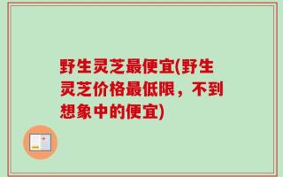 野生灵芝最便宜(野生灵芝价格最低限，不到想象中的便宜)
