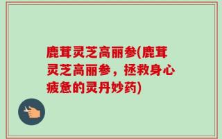 鹿茸灵芝高丽参(鹿茸灵芝高丽参，拯救身心疲惫的灵丹妙药)