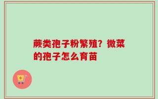 蕨类孢子粉繁殖？微菜的孢子怎么育苗