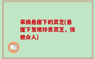 采摘悬崖下的灵芝(悬崖下发现珍贵灵芝，惊艳众人)