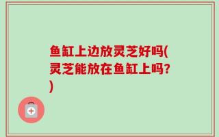 鱼缸上边放灵芝好吗(灵芝能放在鱼缸上吗？)