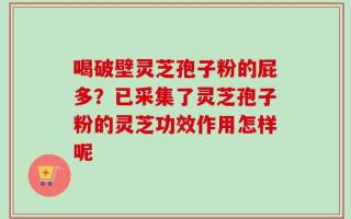 喝破壁灵芝孢子粉的屁多？已采集了灵芝孢子粉的灵芝功效作用怎样呢