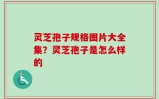 灵芝孢子规格图片大全集？灵芝孢子是怎么样的