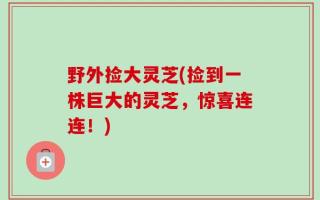 野外捡大灵芝(捡到一株巨大的灵芝，惊喜连连！)