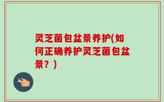 灵芝菌包盆景养护(如何正确养护灵芝菌包盆景？)