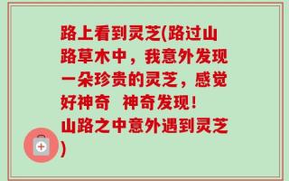 路上看到灵芝(路过山路草木中，我意外发现一朵珍贵的灵芝，感觉好神奇  神奇发现！山路之中意外遇到灵芝)