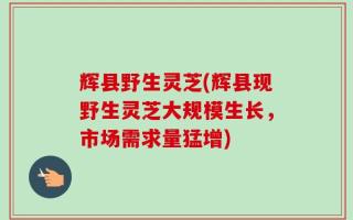 辉县野生灵芝(辉县现野生灵芝大规模生长，市场需求量猛增)