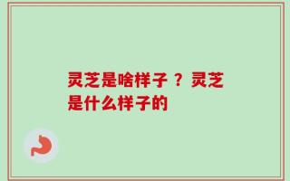 灵芝是啥样子 ？灵芝是什么样子的