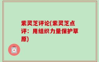 紫灵芝评论(紫灵芝点评：用组织力量保护草原)