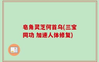 皂角灵芝何首乌(三宝同功 加速人体修复)