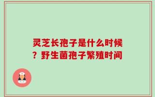 灵芝长孢子是什么时候？野生菌孢子繁殖时间