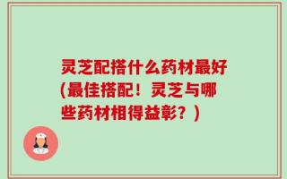 灵芝配搭什么药材最好(最佳搭配！灵芝与哪些药材相得益彰？)