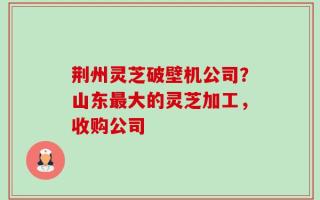 荆州灵芝破壁机公司？山东最大的灵芝加工，收购公司