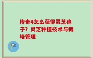 传奇4怎么获得灵芝孢子？灵芝种植技术与栽培管理
