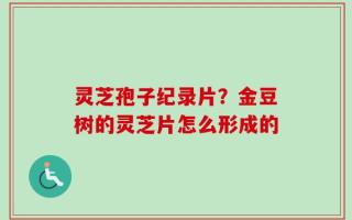 灵芝孢子纪录片？金豆树的灵芝片怎么形成的