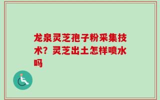 龙泉灵芝孢子粉采集技术？灵芝出土怎样喷水吗