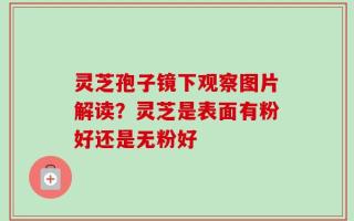 灵芝孢子镜下观察图片解读？灵芝是表面有粉好还是无粉好