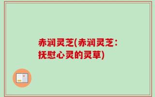 赤润灵芝(赤润灵芝：抚慰心灵的灵草)