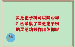 灵芝孢子粉可以降心率？已采集了灵芝孢子粉的灵芝功效作用怎样呢