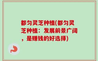 都匀灵芝种植(都匀灵芝种植：发展前景广阔，是赚钱的好选择)