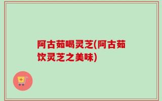 阿古茹喝灵芝(阿古茹饮灵芝之美味)
