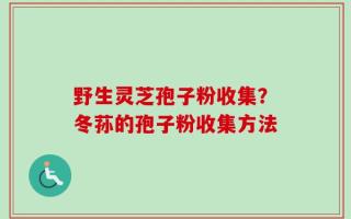 野生灵芝孢子粉收集？冬荪的孢子粉收集方法