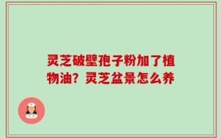 灵芝破壁孢子粉加了植物油？灵芝盆景怎么养