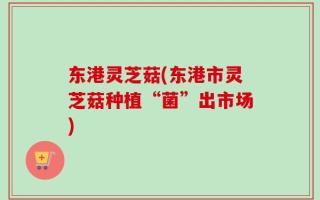 东港灵芝菇(东港市灵芝菇种植“菌”出市场)