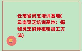 云南省灵芝培训基地(云南灵芝培训基地：探秘灵芝的种植和加工方法)