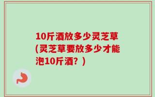 10斤酒放多少灵芝草(灵芝草要放多少才能泡10斤酒？)