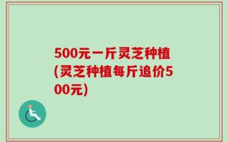 500元一斤灵芝种植(灵芝种植每斤追价500元)