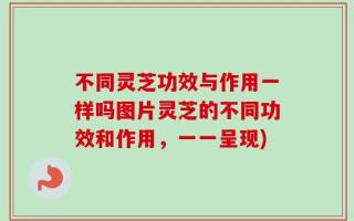 不同灵芝功效与作用一样吗图片灵芝的不同功效和作用，一一呈现)