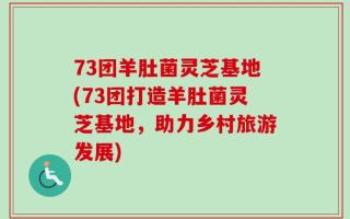 73团羊肚菌灵芝基地(73团打造羊肚菌灵芝基地，助力乡村旅游发展)