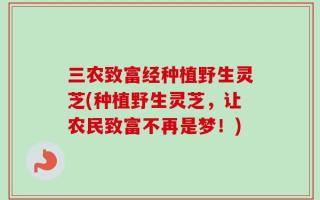 三农致富经种植野生灵芝(种植野生灵芝，让农民致富不再是梦！)