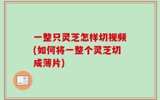一整只灵芝怎样切视频(如何将一整个灵芝切成薄片)