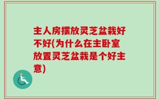 主人房摆放灵芝盆栽好不好(为什么在主卧室放置灵芝盆栽是个好主意)