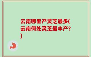 云南哪里产灵芝最多(云南何处灵芝最丰产？)