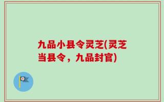 九品小县令灵芝(灵芝当县令，九品封官)
