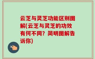 云芝与灵芝功能区别图解(云芝与灵芝的功效有何不同？简明图解告诉你)