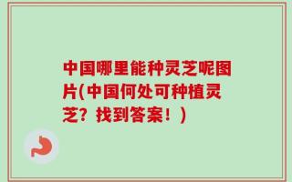 中国哪里能种灵芝呢图片(中国何处可种植灵芝？找到答案！)