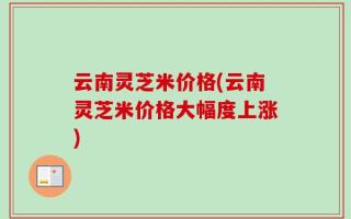 云南灵芝米价格(云南灵芝米价格大幅度上涨)