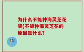 为什么不能种海灵芝花呢(不能种海灵芝花的原因是什么？