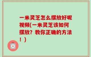 一米灵芝怎么摆放好呢视频(一米灵芝该如何摆放？教你正确的方法！)