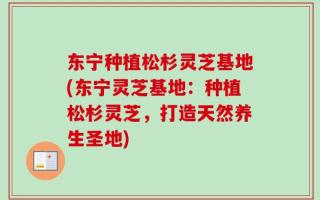东宁种植松杉灵芝基地(东宁灵芝基地：种植松杉灵芝，打造天然养生圣地)