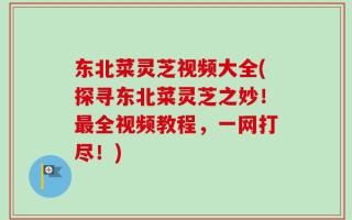 东北菜灵芝视频大全(探寻东北菜灵芝之妙！最全视频教程，一网打尽！)