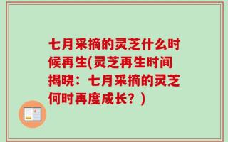 七月采摘的灵芝什么时候再生(灵芝再生时间揭晓：七月采摘的灵芝何时再度成长？)