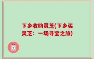 下乡收购灵芝(下乡买灵芝：一场寻宝之旅)